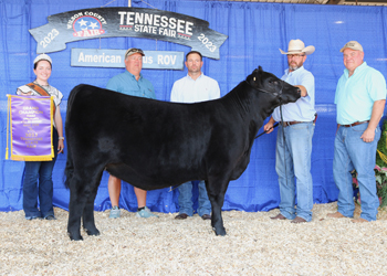 Grand Champion Female