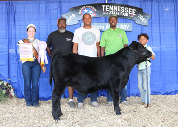 Reserve Junior Bull Calf Champion