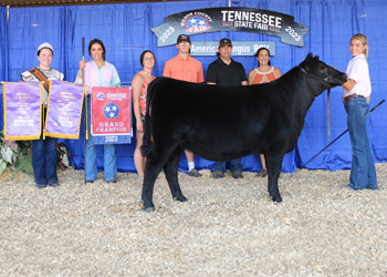 Reserve Senior Heifer Calf Champion