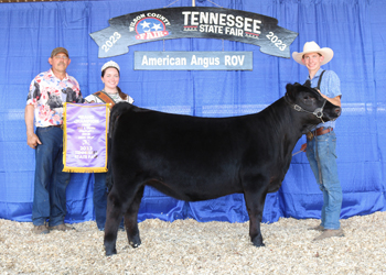 Junior Heifer Calf Champion