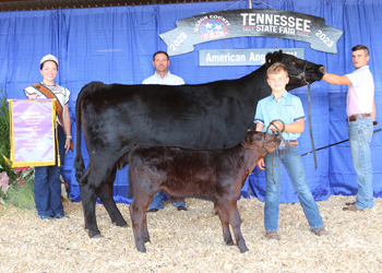 Grand Champion Cow-calf Pair