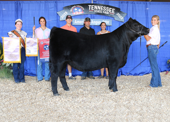 Reserve Grand Champion Owned Female