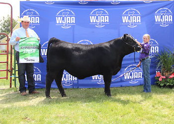 Grand Champion Steer