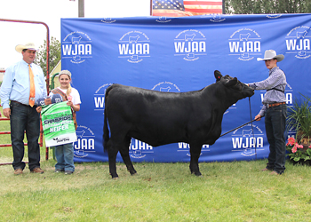 Reserve Grand Champion Bred-and-owned Female