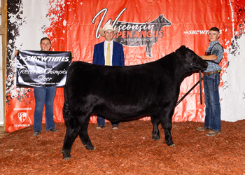 Reserve Grand Champion Steer