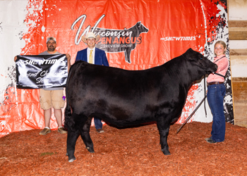 Grand Champion Steer