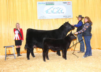 Reserve Intermediate Champion Heifer