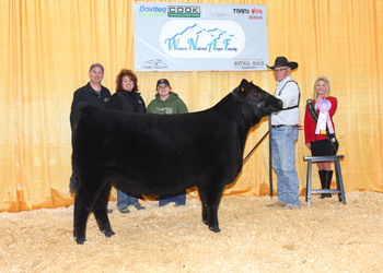 Reserve Junior Heifer Calf Champion Div 1