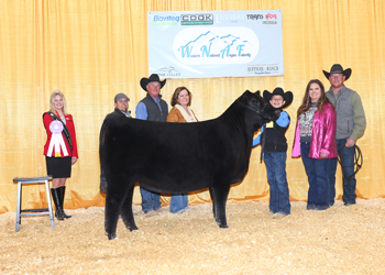 Reserve Junior Heifer Calf Champion Div 2