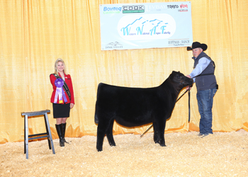 Fall Heifer Calf Champion