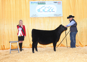 Reserve Fall Heifer Calf Champion