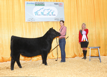 Reserve Summer Heifer Calf Champion