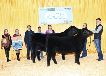 Reserve Grand Champion Cow-calf Pair