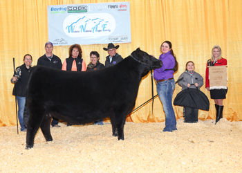 PGS Heifer Division 4