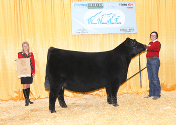 Owned Reserve Junior Champion Heifer