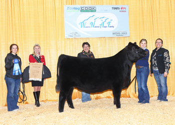 PGS Heifer Division 3