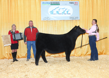 Reserve Junior Heifer Calf Champion-Division 2