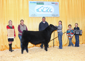 Reserve Summer Bull Calf Champion