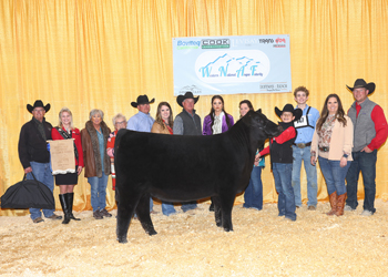 Junior Heifer Calf Champion-Division 2