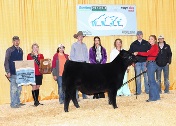 Reserve Grand Champion Bred-and-owned Female