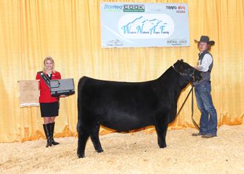 Bred-and-owned Reserve Summer Heifer Calf Champion