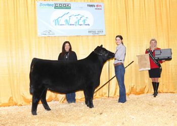 Bred-and-owned Reserve Junior Heifer Calf Champion