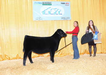 Owned Fall Heifer Calf Champion