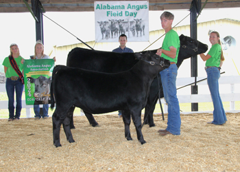 Grand Champion Cow-calf Pair