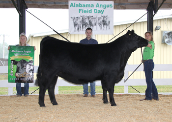 Reserve Grand Champion Owned Female