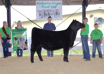 Reserve Grand Champion Bred-and-owned Female