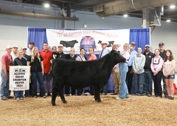 Reserve Grand Champion Female