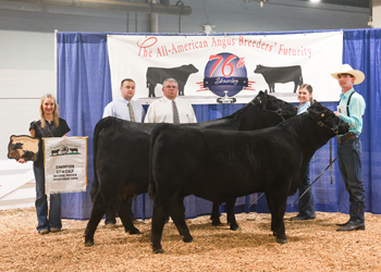 Grand Champion Cow-calf Pair