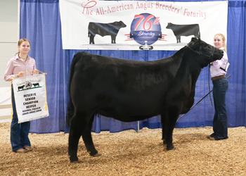 Owned Reserve Senior Champion Female