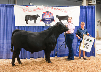 Bred-and-owned Junior Champion Bull