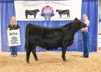 Bred-and-owned Reserve Intermediate Champion Heifer