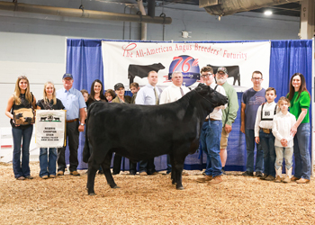 Reserve Grand Champion Steer