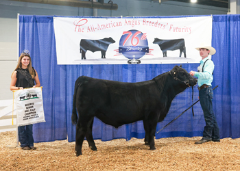 Bred-and-owned Reserve Senior Bull Calf Champion