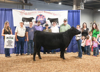 Owned Reserve Intermediate Champion Heifer