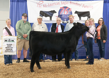 Owned Reserve Senior Heifer Calf Champion