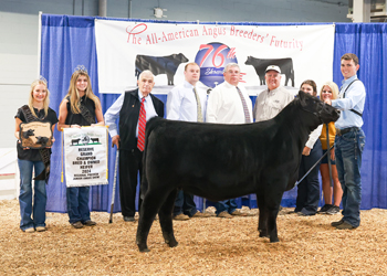 Reserve Grand Champion Bred-and-owned Female