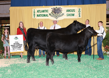 Reserve Grand Champion Cow-calf Pair