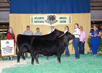 Grand Champion Cow-calf Pair