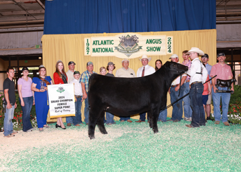 Grand Champion Female