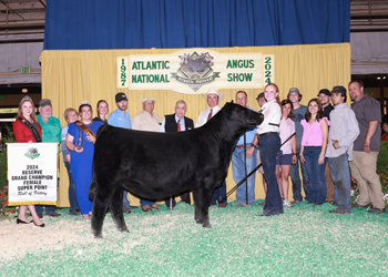 Reserve Grand Champion Female