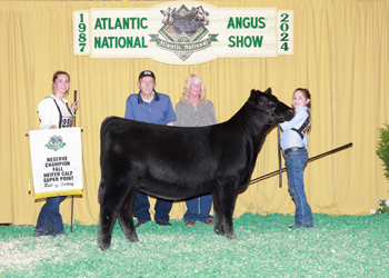 Reserve Fall Heifer Calf Champion