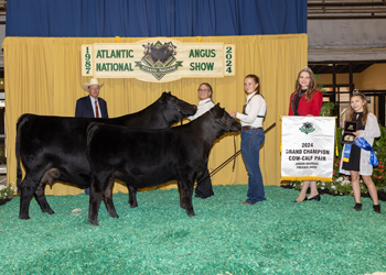 Grand Champion Cow-calf Pair