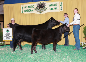 Owned Reserve Junior Champion Heifer