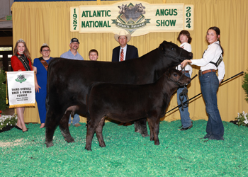 Third Overall Bred-and-owned Champion Female