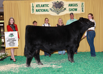 Bred-and-owned Senior Bull Calf Champion