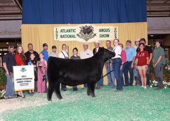 Grand Champion Owned Female